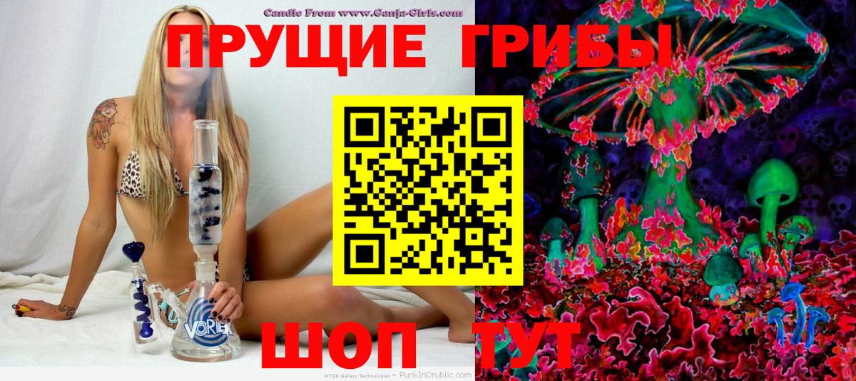 Кулебаки  Псилоцибиновые грибы ЛСД  Вход с VPN  что такое наркотик  Псилоцибиновые грибы Psilocybine cubensis 